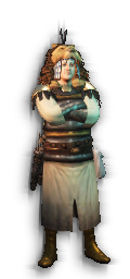 looter Tier 3 Example